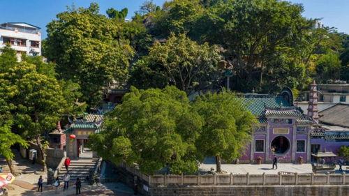 69视频国产免费